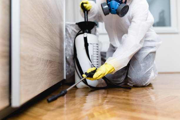 Best Flea Control Services  in Beckett Ridge, OH