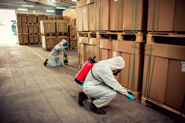 Best Pest Prevention Services  in Beckett Ridge, OH