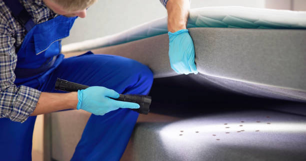 Best Residential Pest Control  in Beckett Ridge, OH