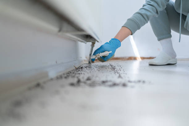 Insect Control in Beckett Ridge, OH